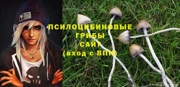 экстази Алексеевка