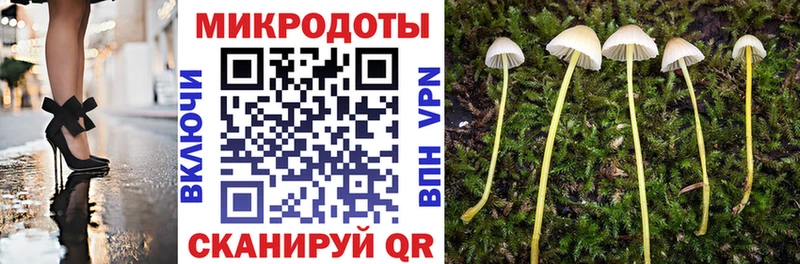 Псилоцибиновые грибы мухоморы  Нестеров 